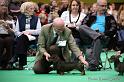 Crufts2011_2 1134
